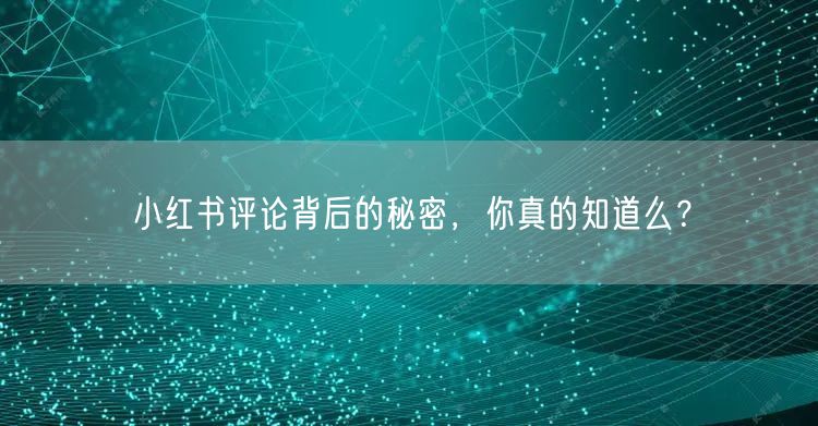 小红书评论背后的秘密，你真的知道么？