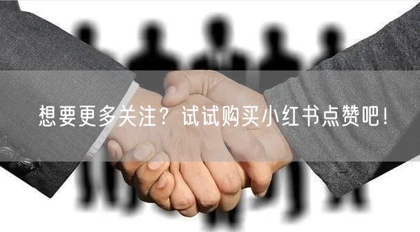 想要更多关注？试试购买小红书点赞吧！