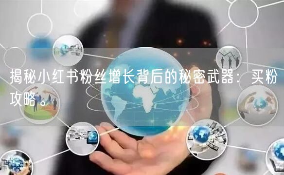 揭秘小红书粉丝增长背后的秘密武器：买粉攻略。