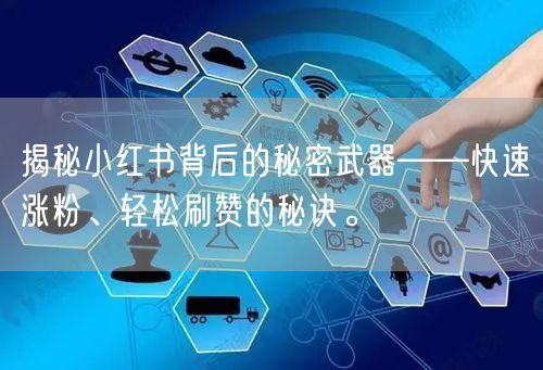 揭秘小红书背后的秘密武器——快速涨粉、轻松刷赞的秘诀。