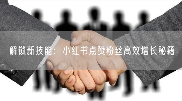 解锁新技能：小红书点赞粉丝高效增长秘籍