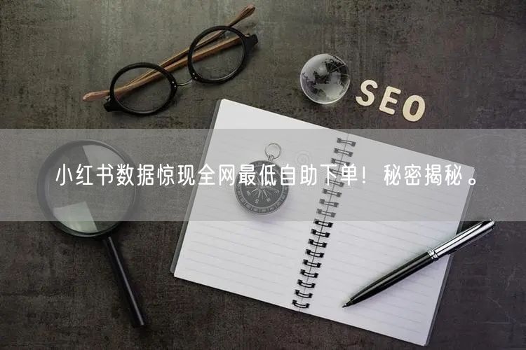 小红书数据惊现全网最低自助下单！秘密揭秘。
