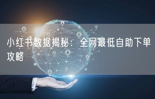 小红书数据揭秘：全网最低自助下单攻略