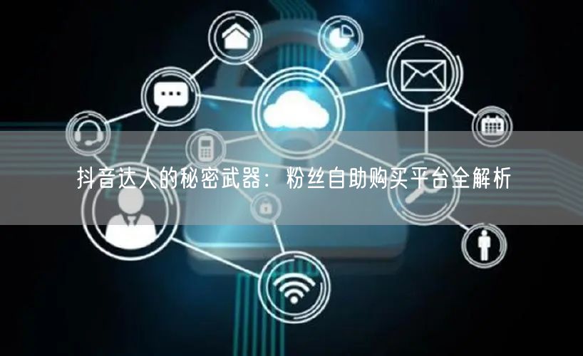抖音达人的秘密武器：粉丝自助购买平台全解析