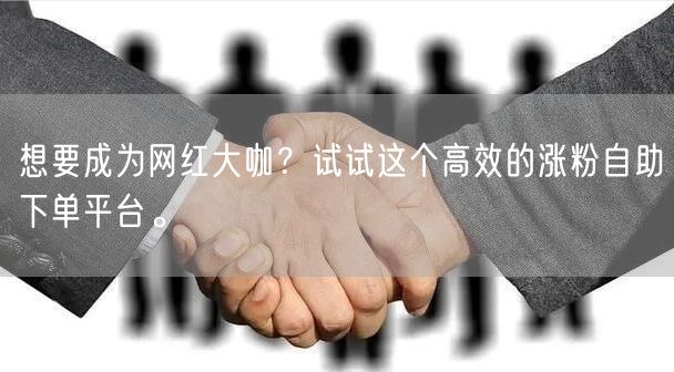 想要成为网红大咖？试试这个高效的涨粉自助下单平台。