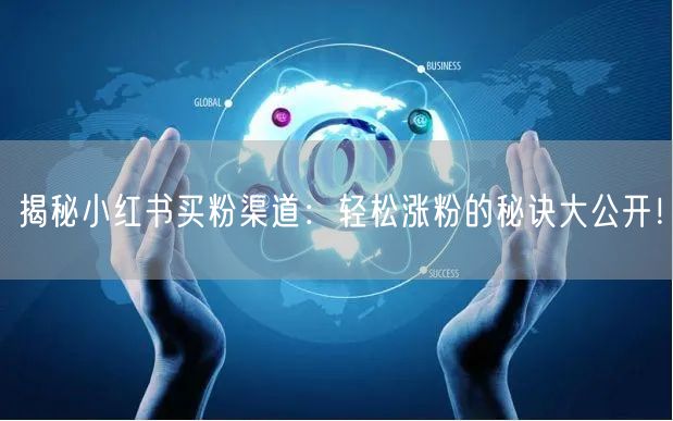 揭秘小红书买粉渠道：轻松涨粉的秘诀大公开！