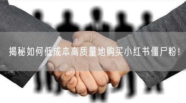 揭秘如何低成本高质量地购买小红书僵尸粉！