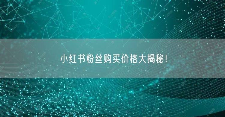 小红书粉丝购买价格大揭秘！