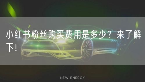小红书粉丝购买费用是多少？来了解下！