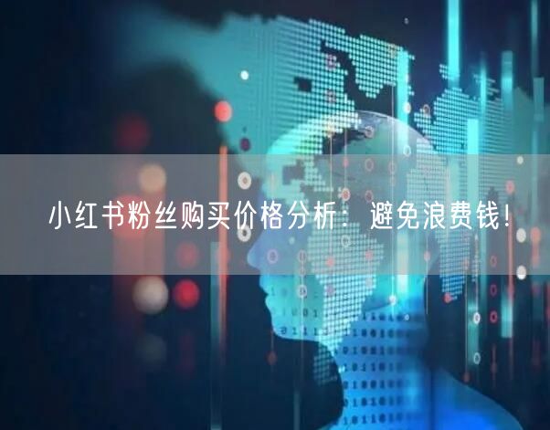 小红书粉丝购买价格分析：避免浪费钱！