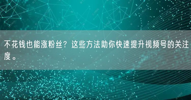 不花钱也能涨粉丝？这些方法助你快速提升视频号的关注度。