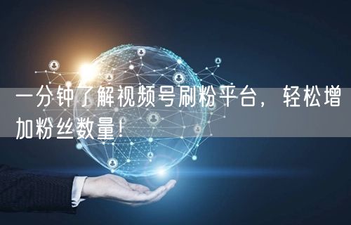 一分钟了解视频号刷粉平台，轻松增加粉丝数量！