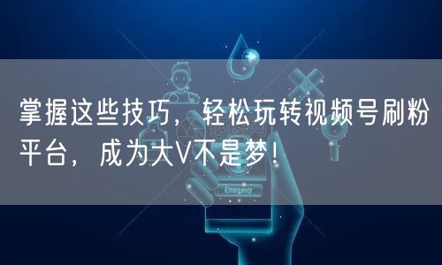 掌握这些技巧，轻松玩转视频号刷粉平台，成为大V不是梦！