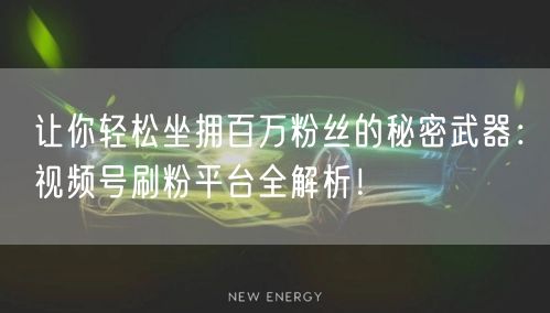 让你轻松坐拥百万粉丝的秘密武器：视频号刷粉平台全解析！