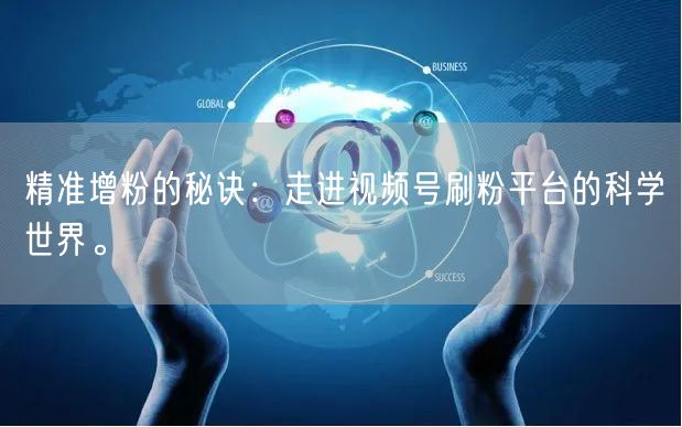 精准增粉的秘诀：走进视频号刷粉平台的科学世界。