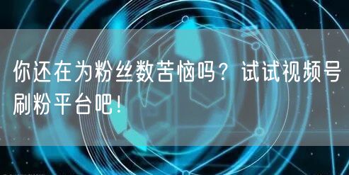 你还在为粉丝数苦恼吗？试试视频号刷粉平台吧！