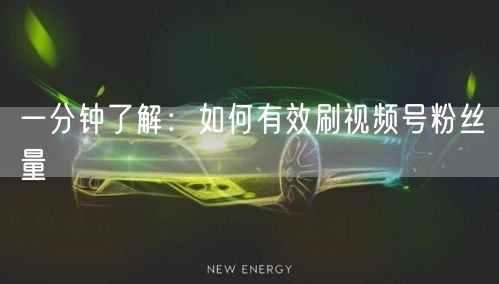 一分钟了解：如何有效刷视频号粉丝量