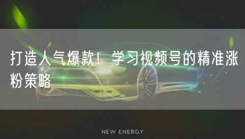 打造人气爆款！学习视频号的精准涨粉策略