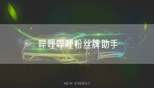 哔哩哔哩粉丝牌助手
