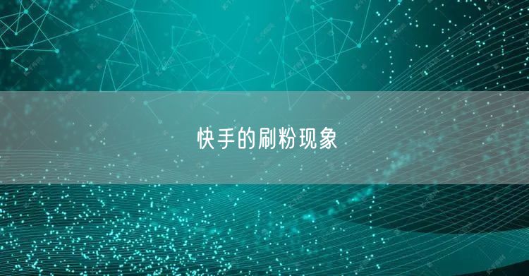 快手的刷粉现象