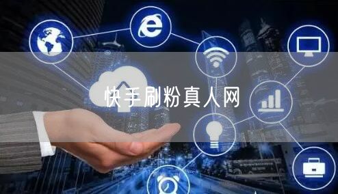 快手刷粉真人网