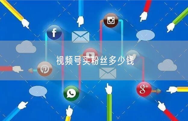 视频号买粉丝多少钱