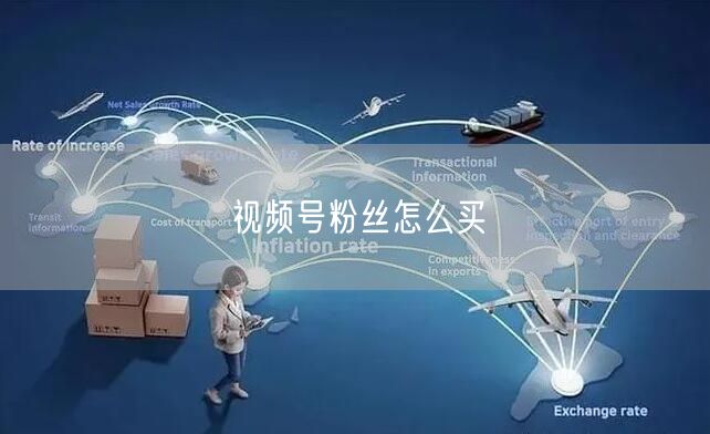 视频号粉丝怎么买
