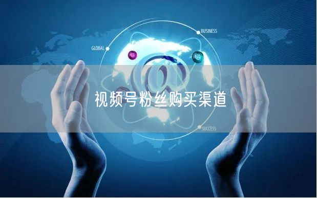 视频号粉丝购买渠道