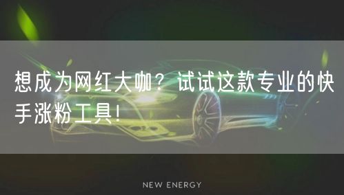想成为网红大咖？试试这款专业的快手涨粉工具！