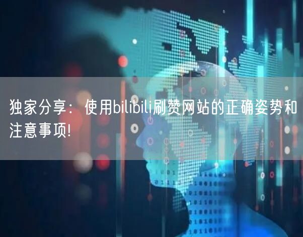 独家分享：使用bilibili刷赞网站的正确姿势和注意事项!