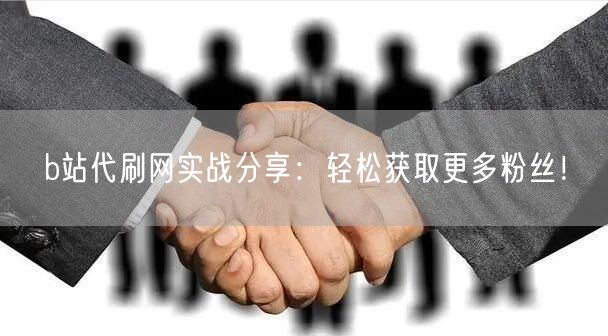 b站代刷网实战分享：轻松获取更多粉丝！