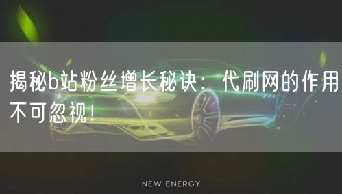 揭秘b站粉丝增长秘诀：代刷网的作用不可忽视！