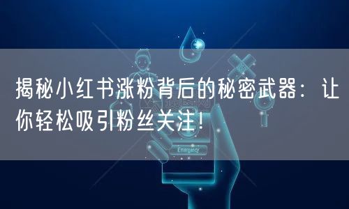 揭秘小红书涨粉背后的秘密武器：让你轻松吸引粉丝关注！