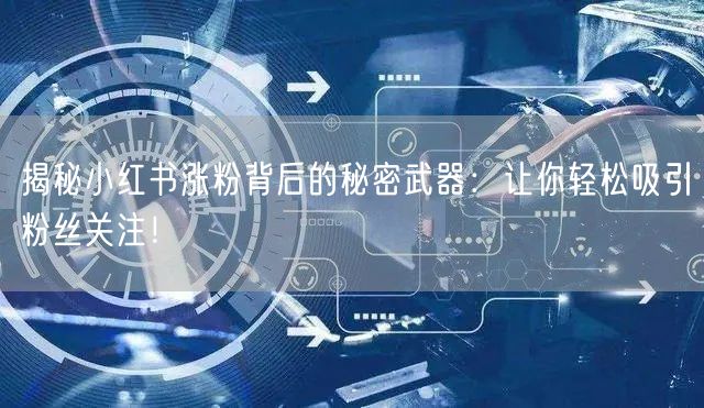 揭秘小红书涨粉背后的秘密武器：让你轻松吸引粉丝关注！