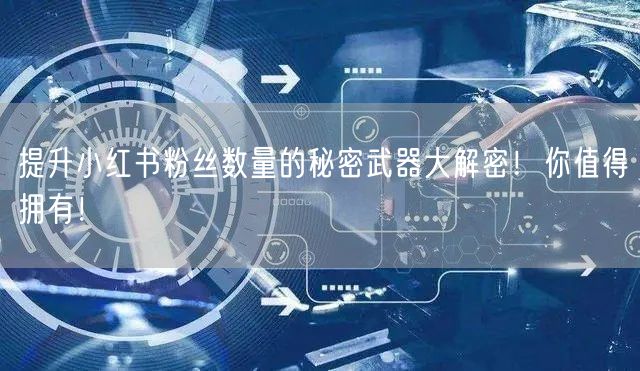 提升小红书粉丝数量的秘密武器大解密！你值得拥有！