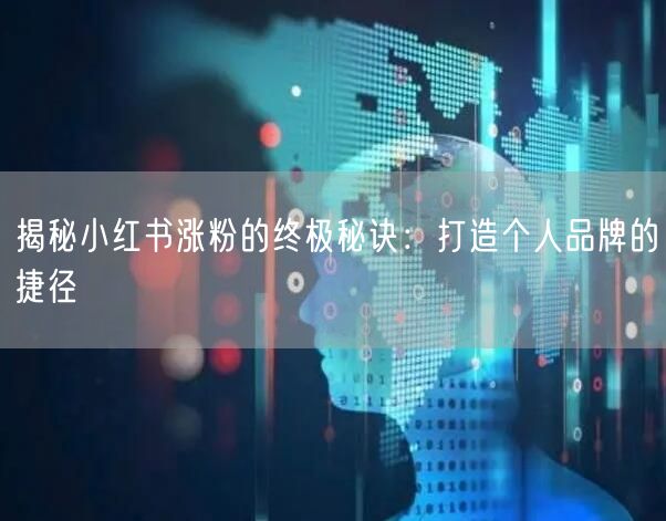 揭秘小红书涨粉的终极秘诀：打造个人品牌的捷径