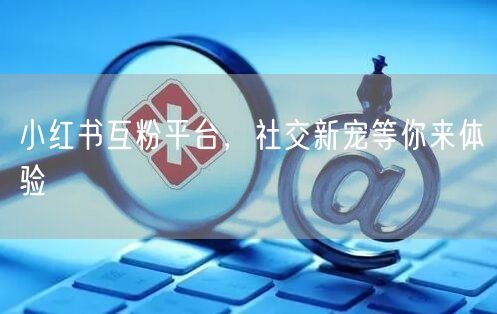 小红书互粉平台，社交新宠等你来体验