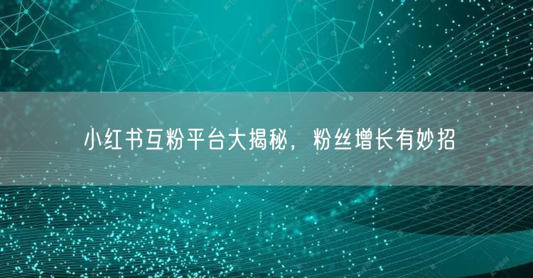 小红书互粉平台大揭秘，粉丝增长有妙招