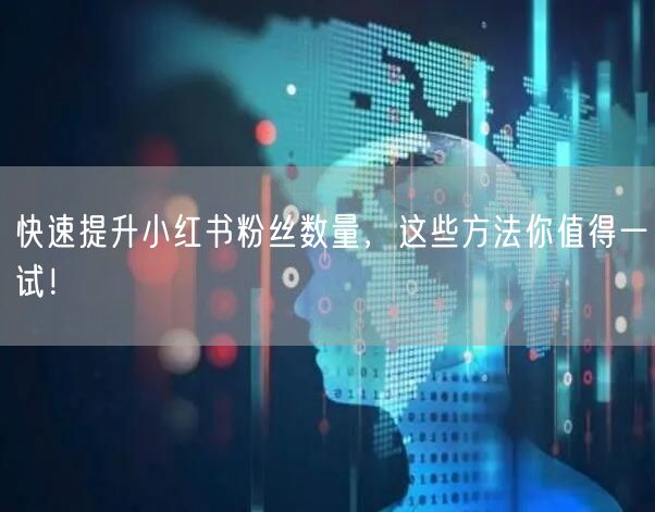 快速提升小红书粉丝数量，这些方法你值得一试！
