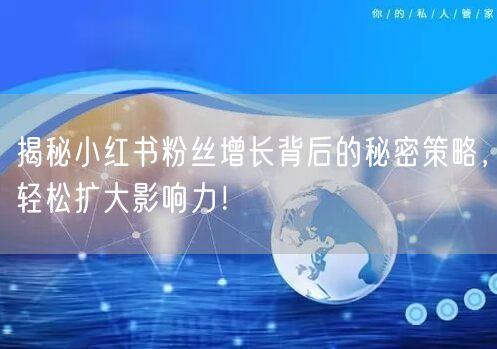 揭秘小红书粉丝增长背后的秘密策略，轻松扩大影响力！