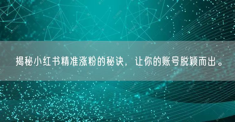揭秘小红书精准涨粉的秘诀，让你的账号脱颖而出。