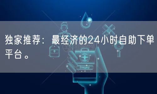 独家推荐：最经济的24小时自助下单平台。