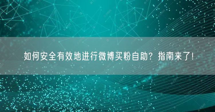 如何安全有效地进行微博买粉自助？指南来了！