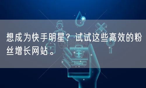 想成为快手明星？试试这些高效的粉丝增长网站。