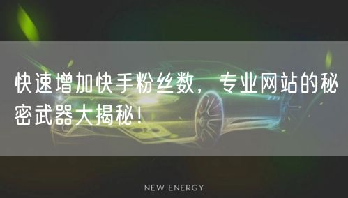 快速增加快手粉丝数，专业网站的秘密武器大揭秘！