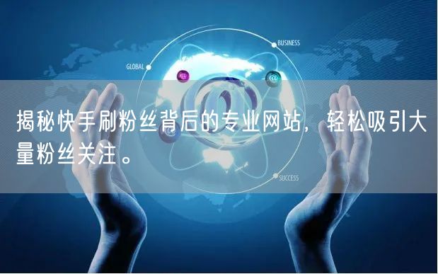 揭秘快手刷粉丝背后的专业网站，轻松吸引大量粉丝关注。
