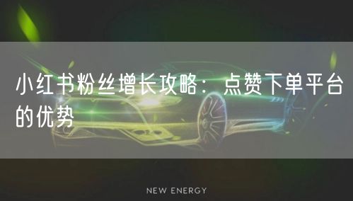 小红书粉丝增长攻略：点赞下单平台的优势