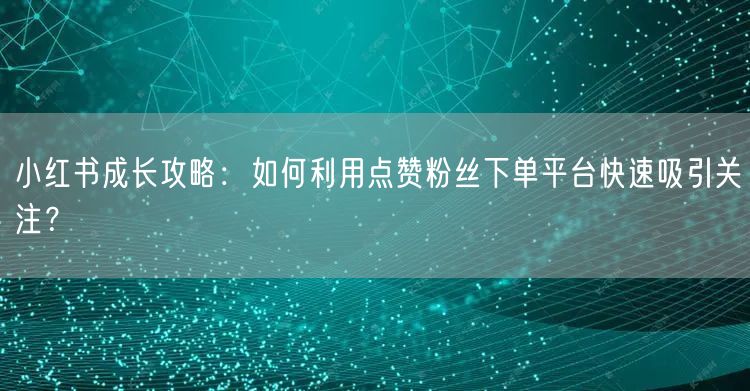 小红书成长攻略：如何利用点赞粉丝下单平台快速吸引关注？
