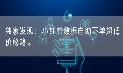 独家发现：小红书数据自助下单超低价秘籍。