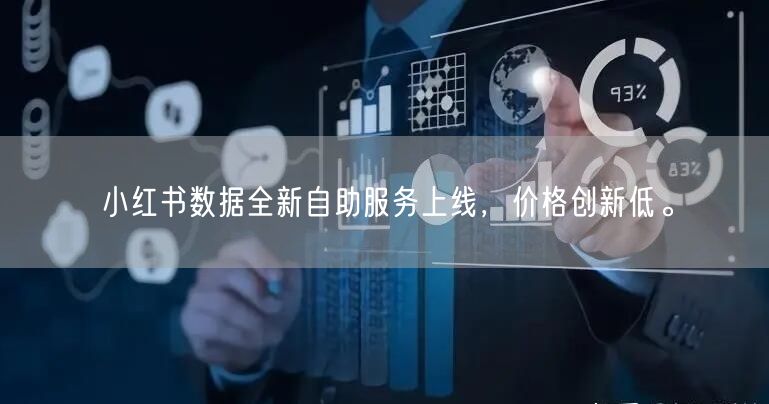 小红书数据全新自助服务上线，价格创新低。
